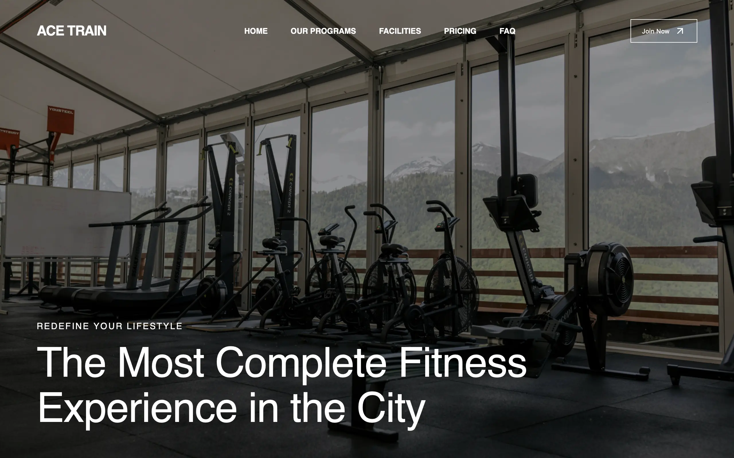 Ace Train - Modern Gym